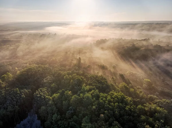 Misty hills with sun rays and long tree shadows. Amazing aerial photo. Morning in the forest