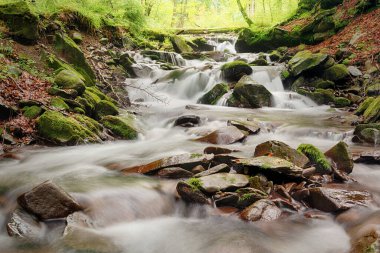 Ormanda şelaleleri olan dağ nehri.