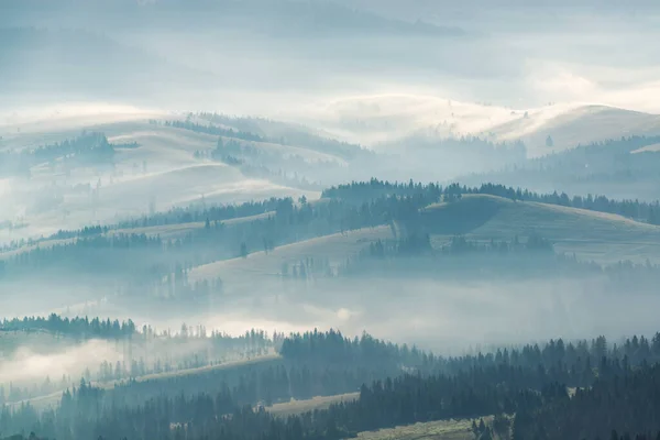 Paesaggio Magico Mattutino Con Nebbia Che Copre Colline Carpatiche — Foto Stock