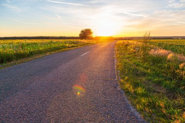 Kırsaldaki güzel asfalt yol. Yeşil ekinler ve günbatımı güneşiyle tarlalarda yol kıvrımları. 