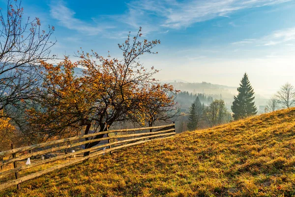 Úžasný Podzim Venkově Dřevěný Plot Žluté Stromy Pastviny Alpské Vesnici — Stock fotografie