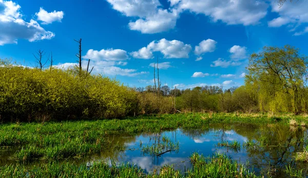 Landschaftsschutzgebiet Norden Berlins — Stockfoto