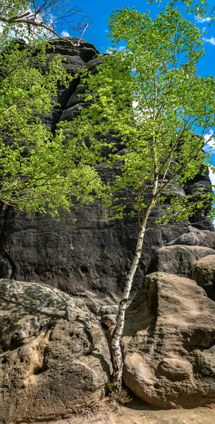 Planalto Desfiladeiros Trilhas Para Caminhadas Rochas Pedra Pfaff Nas Montanhas — Fotografia de Stock