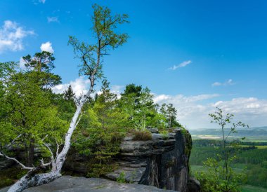Saksonya Elbe Kumtaşı dağlarında Pfaff taştaki Plato