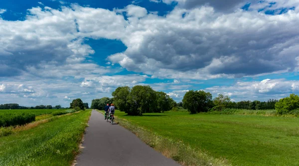 Велосипедная Дорожка Открытом Воздухе Федеральном Штате Бранденбург — стоковое фото