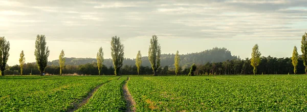 Landscape Field Field Saxony Fotografoert Bird Eye View — Stock Photo, Image