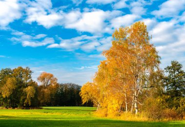 sonbahar manzara ve Berlin çevresinde