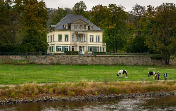 Vacker Gammal Fastighet Stranden Elbe Nära Schloss Pillnitz Sachsen Tyskland — Stockfoto