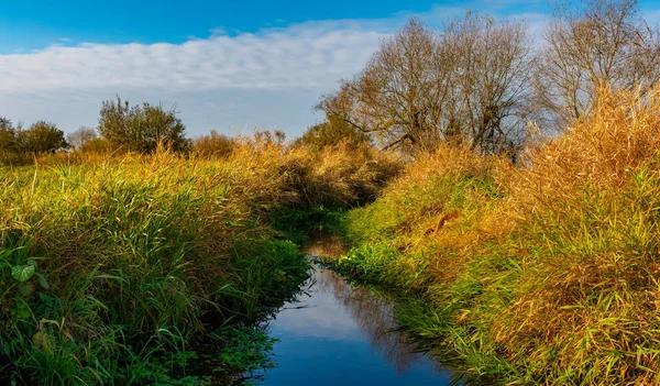 Autumn Landscape Berlin — Stock Photo, Image