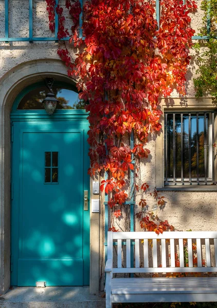 Entrance Door Villa Framed Autumn Ivy — Stock Photo, Image
