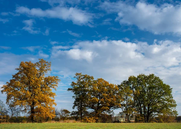sonbahar manzara ve Berlin çevresinde