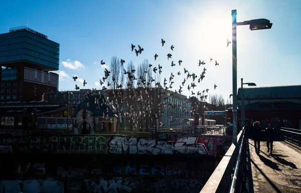 Un enjambre de sordos en una estación de tren en el centro de Berlín, Alemania —  Fotos de Stock