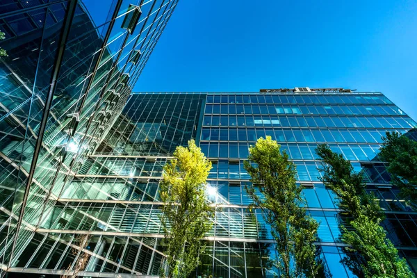 Small trees in front of the glass facades of the skyscrapers at Potsdamer Platz, Germany — Stock Photo, Image