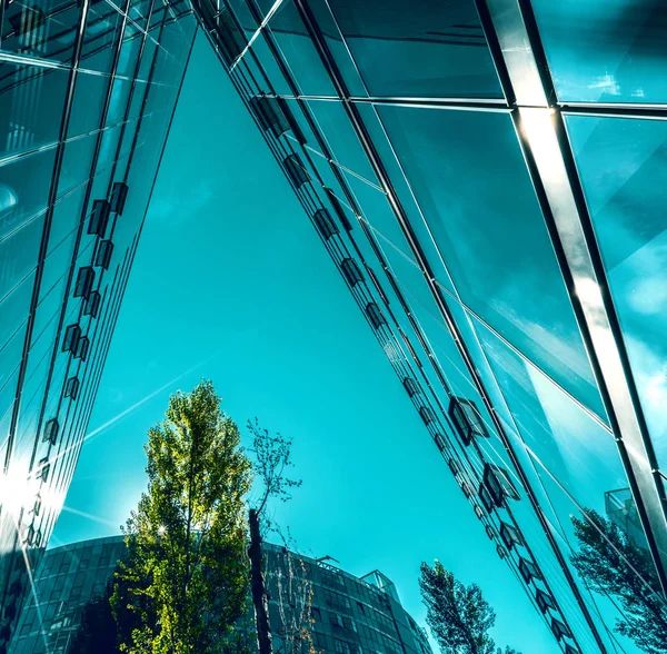 Baum in der Stadt — Foto Stock