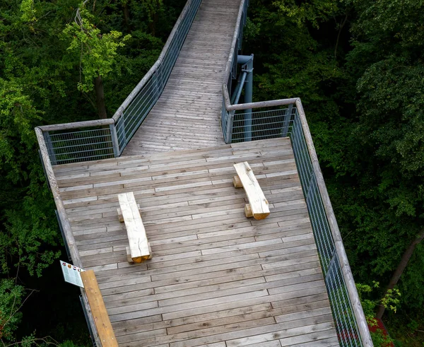 Bancos en la cima de un árbol en Turingia, Alemania —  Fotos de Stock