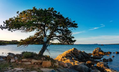 İtalya 'da Sardinya sahilinde