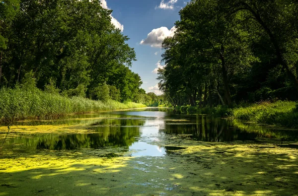 Small river in a landscape protection area in brandenburg, germany — Stock Photo, Image