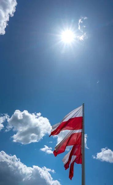 A bandeira nacional polonesa contra um céu azul — Fotografia de Stock