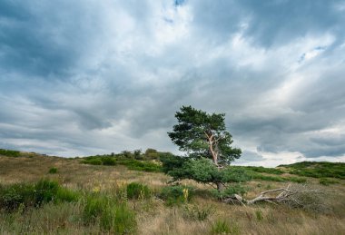 Kuzey Almanya 'da Saklı Ada manzarası