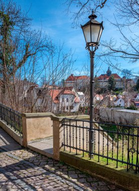 Thuringia 'daki Altenburg Kalesi ve Parkı