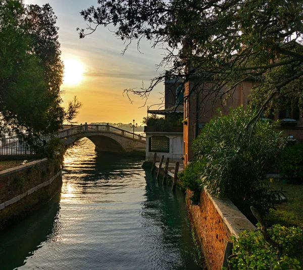 Coucher Soleil Sur Mer Venise — Photo