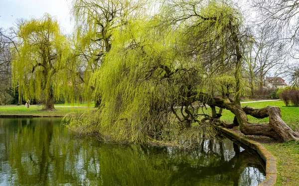 Naturaleza Establecimiento Baño Orankesee Obersee Berlín —  Fotos de Stock