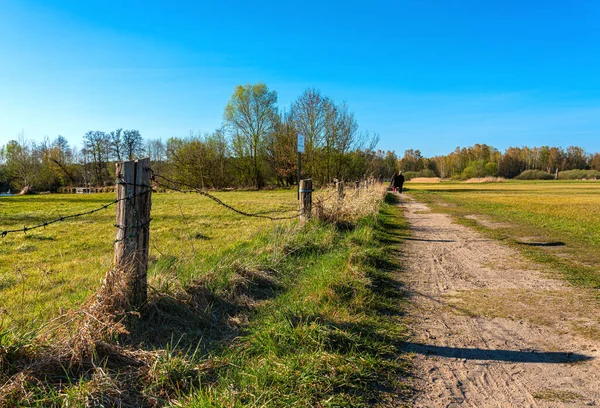 Spaziergänger Und Tiere Der Natur Auf Dem Tegeler Fliess Berlin — Stockfoto