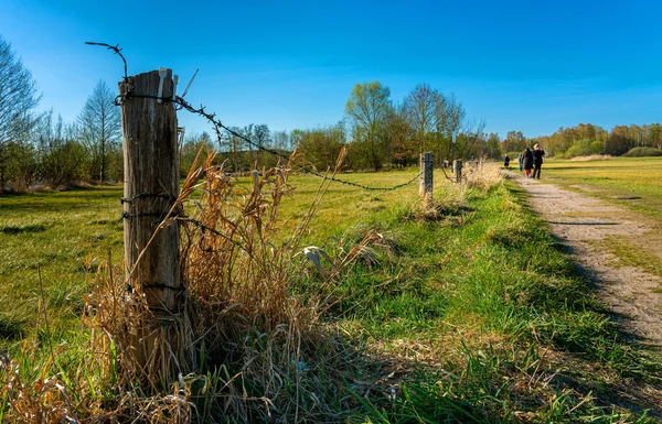 Walkers Animals Nature Tegeler Fliess Berlin Reinickendorf — Stock Photo, Image