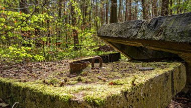 Ormanda beton döşemeler var.