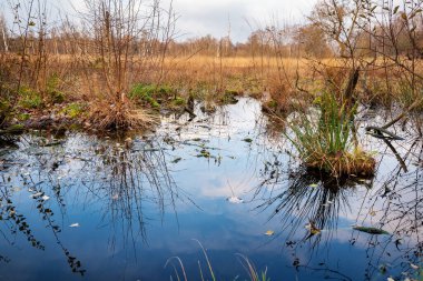 Almanya 'da bataklık ve manzara
