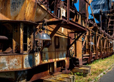 Ferropolis açık hava müzesinde kova tekerleği kazıcısı ve eski kazıcı, demir şehri, Graefenhainichen, Saksonya Anhalt, Almanya