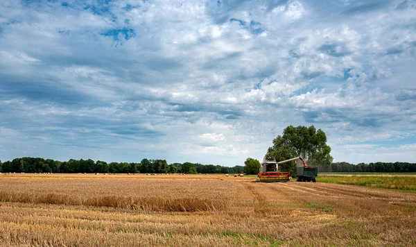 Erntezeit Brandenburger Land — Stock Photo, Image