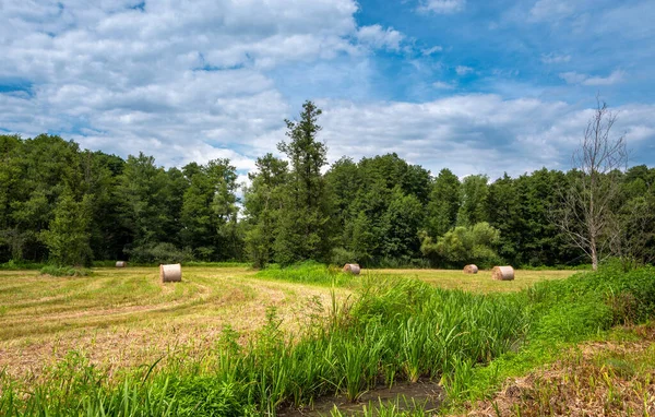 Erntezeit Brandenburger Land — Stock Photo, Image