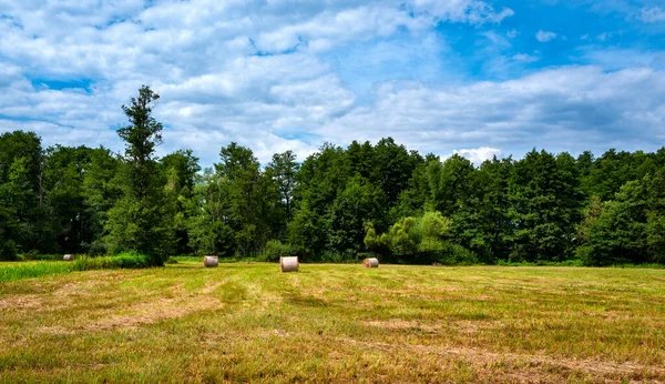 Erntezeit Brandenburger Land — Stock Photo, Image