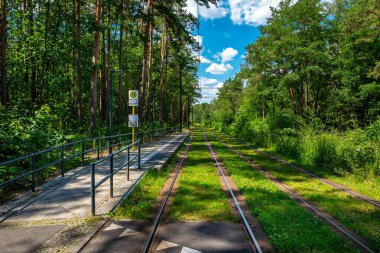 Berlin Greenau yakınlarındaki ormandan geçen Berlin tramvayı güzergahı.