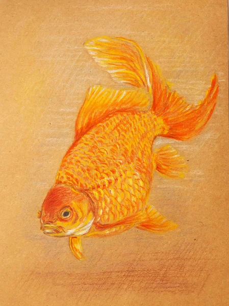 Peixe Dourado Desenho Lápis Colorido Ilustração Artística Gráfica Sobre Papel — Fotografia de Stock