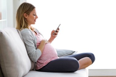 Shot of beautiful young pregnant woman texting with her smartphone on the sofa at home. clipart