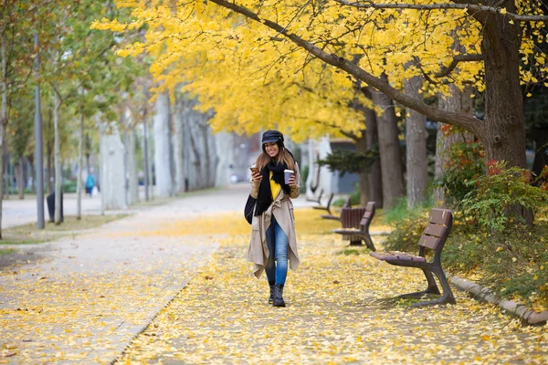 Atış sırasında sonbahar parkta yürürken cep telefonu kullanan genç ve güzel kadın.
