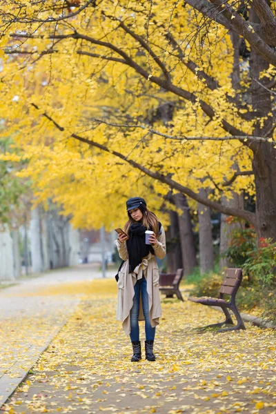 Atış sırasında sonbahar parkta yürürken cep telefonu kullanan genç ve güzel kadın.