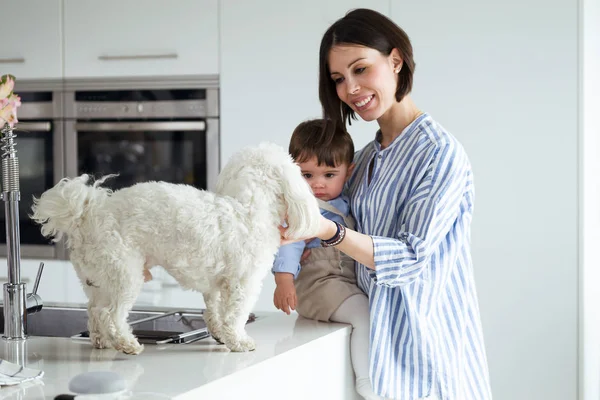 Foto Bonita Madre Con Bebé Mirando Perro Que Está Encimera — Foto de Stock