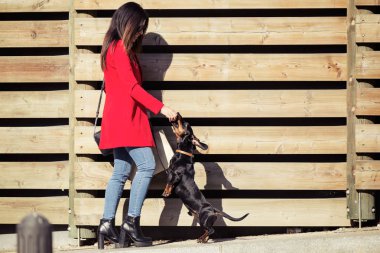 Serin genç güzel kadın onun tatlı köpek playfuly sokakta besleme.