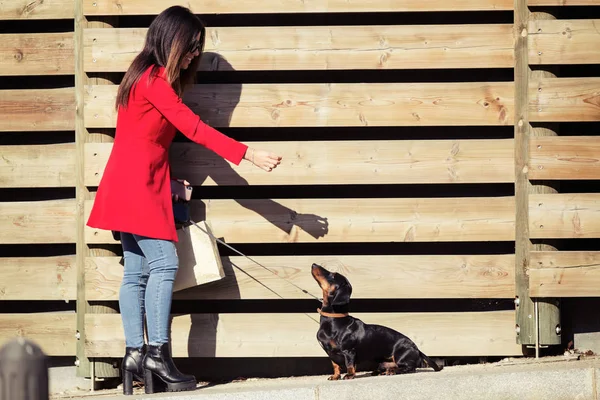 Hűvös fiatal gyönyörű nő etetés neki édes kutya playfuly az utcán. — Stock Fotó