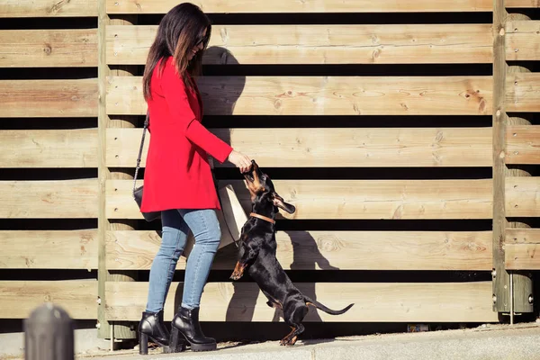 Serin genç güzel kadın onun tatlı köpek playfuly sokakta besleme. — Stok fotoğraf