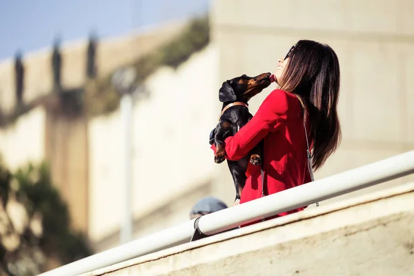 Sød lille hund kysse smuk ung kvinde, mens du går til gaden . - Stock-foto