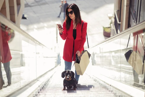 Moda giovane donna che cammina con il suo cagnolino mentre messaggia con il suo smartphone per strada in città . — Foto Stock