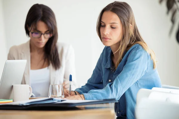 Dos jóvenes y bonitas empresarias trabajando en nuevas ideas en la oficina . —  Fotos de Stock