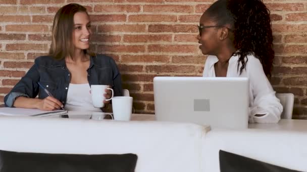 Dos mujeres de negocios bastante jóvenes hablando y tomando café mientras descansan en la oficina . — Vídeo de stock