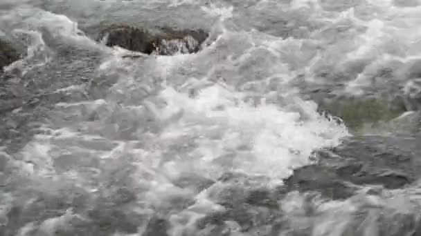 Видеозапись Которой Крупным Планом Видно Вода Течет Ручью — стоковое видео