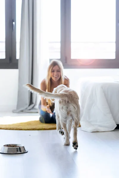 Jolie jeune femme jouant avec son chien assis sur le sol à la maison . — Photo