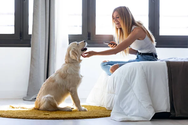 Csinos fiatal asszony használ őt mozgatható telefon rövid idő tartózkodás vele kutya otthon. — Stock Fotó